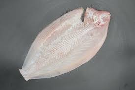 Heill sólkoli - Roðlaus