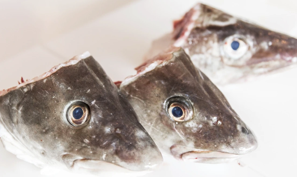 Þorskhausar ferskir