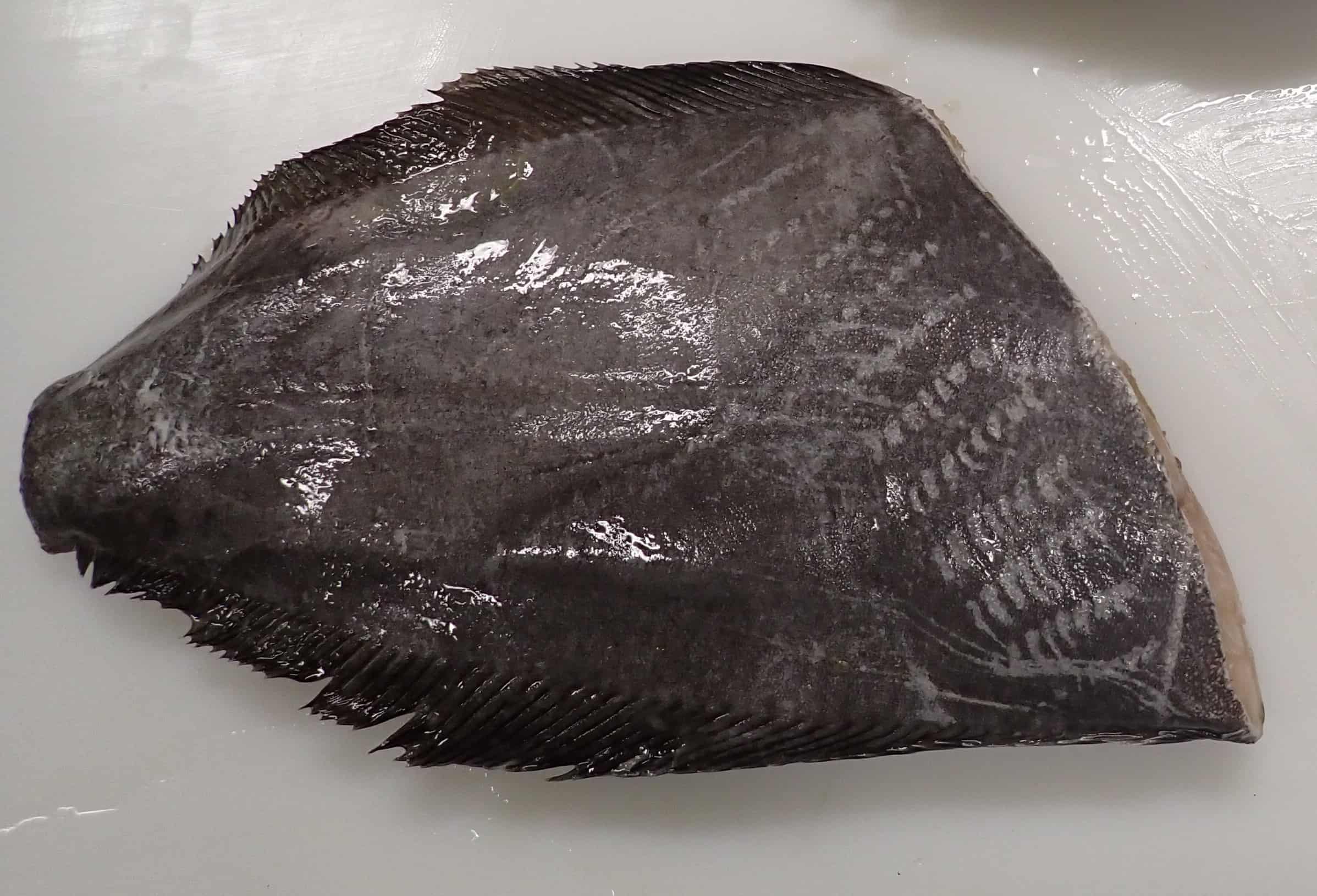 Grálúða , hausuð