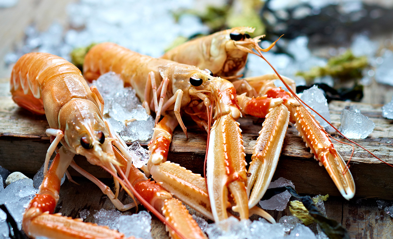 Heill Humar - Stærð 4-8 stk per kg *sá stærsti